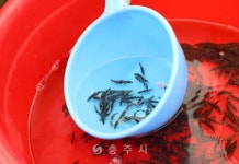 농업정책 - 충주시 사진과 기록