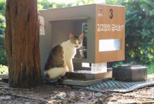 축산 - 충주시 사진과 기록