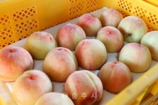 안전행정국 - 충주시 사진과 기록