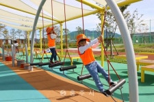 체육시설 - 충주시 사진과 기록