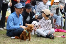 축산 - 충주시 사진과 기록