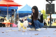 축산 - 충주시 사진과 기록