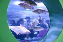 축산 - 충주시 사진과 기록