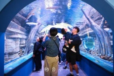 축산 - 충주시 사진과 기록