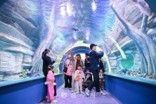 축산 - 충주시 사진과 기록