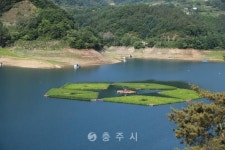 2019년 - 충주시 사진과 기록