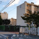 2020년 - 충주시 사진과 기록