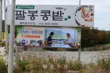 2022년 - 충주시 사진과 기록