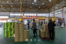 2024년 - 충주시 사진과 기록