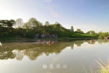 명소 - 충주시 사진과 기록