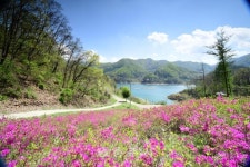 2021년 - 충주시 사진과 기록