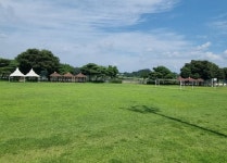 체육시설 < 체육시설 : 충주시 통합예약