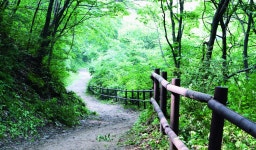 하늘재 - 문화관광