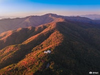 도정뉴스 - 충청남도 누리집(홈페이지) 충청남도 누리집(홈페이지)