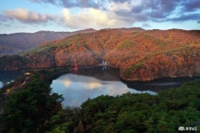 도정뉴스 - 충청남도 누리집(홈페이지) 충청남도 누리집(홈페이지)