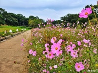 전체기사 - 충청남도 누리집(홈페이지) 충청남도 누리집(홈페이지)