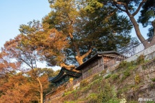여행 - 충청남도 누리집(홈페이지) 충청남도 누리집(홈페이지)