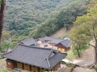 사는 이야기 - 충청남도 누리집(홈페이지) 충청남도 누리집(홈페이지)