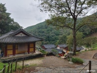 사는 이야기 - 충청남도 누리집(홈페이지) 충청남도 누리집(홈페이지)