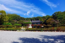 여행 - 충청남도 누리집(홈페이지) 충청남도 누리집(홈페이지)