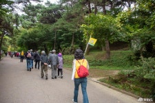여행 - 충청남도 누리집(홈페이지) 충청남도 누리집(홈페이지)