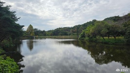 사람들 - 충청남도 누리집(홈페이지) 충청남도 누리집(홈페이지)