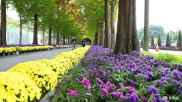 포토뉴스 - 충청남도 누리집(홈페이지) 충청남도 누리집(홈페이지)