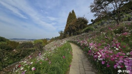 문화, 역사 - 충청남도 누리집(홈페이지) 충청남도 누리집(홈페이지)