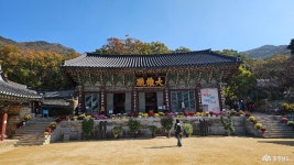 수채화 빛깔 아름다운 산책길에서 만난 공주 갑사의 가을 충청남도 누리집(홈페이지)