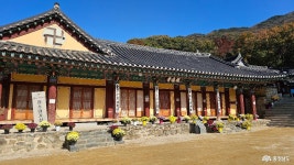 수채화 빛깔 아름다운 산책길에서 만난 공주 갑사의 가을 충청남도 누리집(홈페이지)