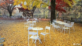 문화, 역사 - 충청남도 누리집(홈페이지) 충청남도 누리집(홈페이지)