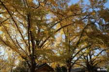 사는 이야기 - 충청남도 누리집(홈페이지) 충청남도 누리집(홈페이지)