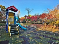 포토뉴스 - 충청남도 누리집(홈페이지) 충청남도 누리집(홈페이지)