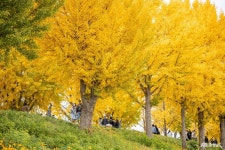 문화, 역사 - 충청남도 누리집(홈페이지) 충청남도 누리집(홈페이지)