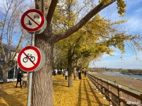 사는 이야기 - 충청남도 누리집(홈페이지) 충청남도 누리집(홈페이지)