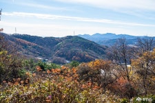 포토뉴스 - 충청남도 누리집(홈페이지) 충청남도 누리집(홈페이지)