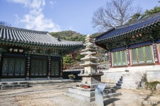 먹거리 - 충청남도 누리집(홈페이지) 충청남도 누리집(홈페이지)