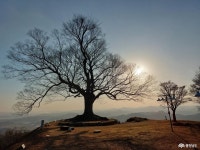 문화, 역사 - 충청남도 누리집(홈페이지) 충청남도 누리집(홈페이지)