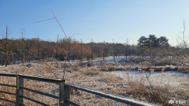 여행 - 충청남도 누리집(홈페이지) 충청남도 누리집(홈페이지)
