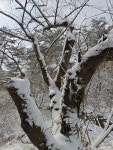 사는 이야기 - 충청남도 누리집(홈페이지) 충청남도 누리집(홈페이지)