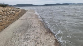 전체기사 - 충청남도 누리집(홈페이지) 충청남도 누리집(홈페이지)