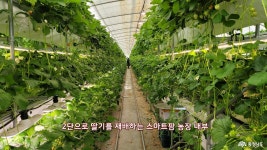 여행 - 충청남도 누리집(홈페이지) 충청남도 누리집(홈페이지)