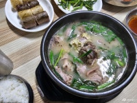 여행 - 충청남도 누리집(홈페이지) 충청남도 누리집(홈페이지)