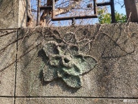 먹거리 - 충청남도 누리집(홈페이지) 충청남도 누리집(홈페이지)