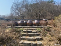 포토뉴스 - 충청남도 누리집(홈페이지) 충청남도 누리집(홈페이지)