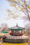 여행 - 충청남도 누리집(홈페이지) 충청남도 누리집(홈페이지)