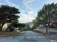 포토뉴스 - 충청남도 누리집(홈페이지) 충청남도 누리집(홈페이지)