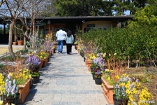 문화, 역사 - 충청남도 누리집(홈페이지) 충청남도 누리집(홈페이지)