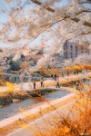 사는 이야기 - 충청남도 누리집(홈페이지) 충청남도 누리집(홈페이지)