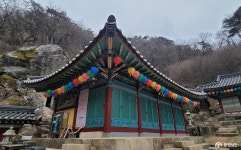 여행 - 충청남도 누리집(홈페이지) 충청남도 누리집(홈페이지)